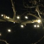 lyskæde i træ